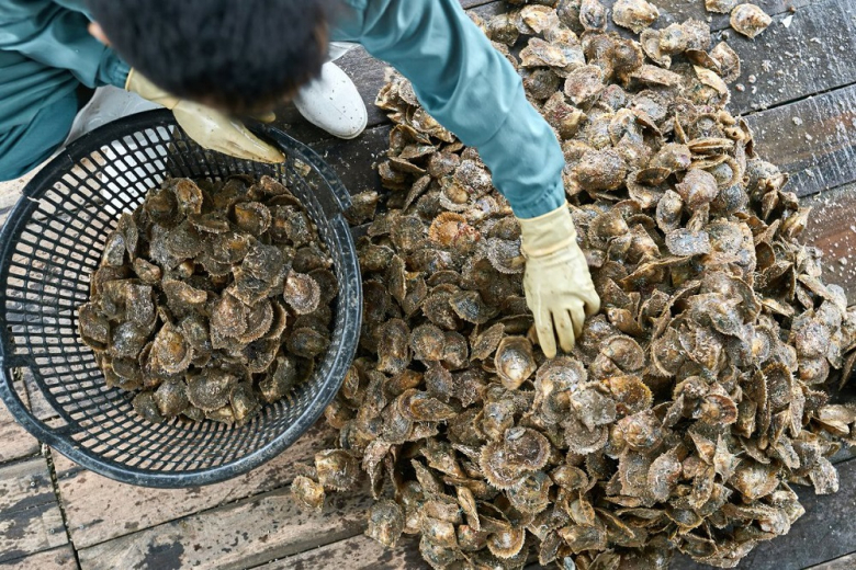 Россия нарастила производство морепродуктов на фоне пандемии